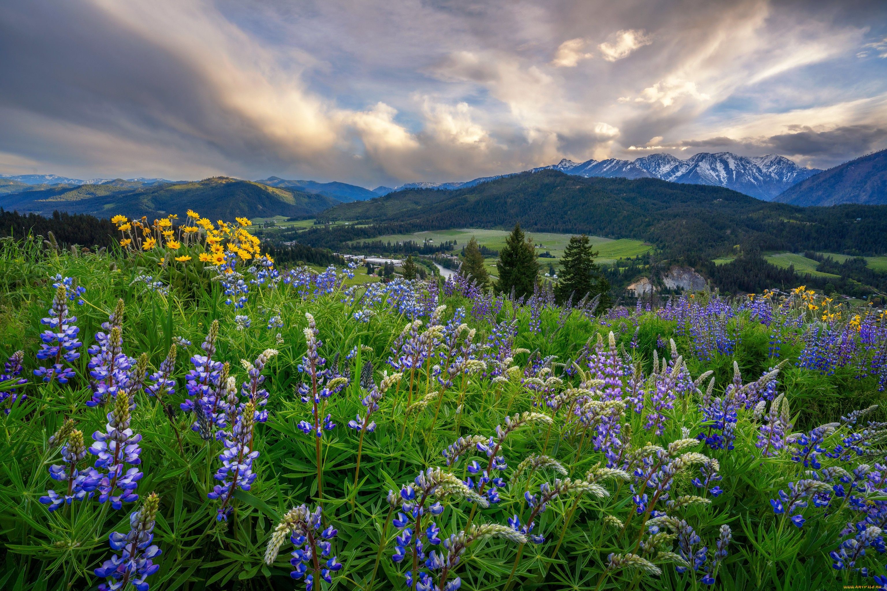 Охрана окружающей среды и обеспечение экологической безопасности: государственное регулирование