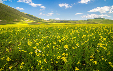 Государственная экологическая экспертиза (ГЭЭ): особенности прохождения в 2026г.
